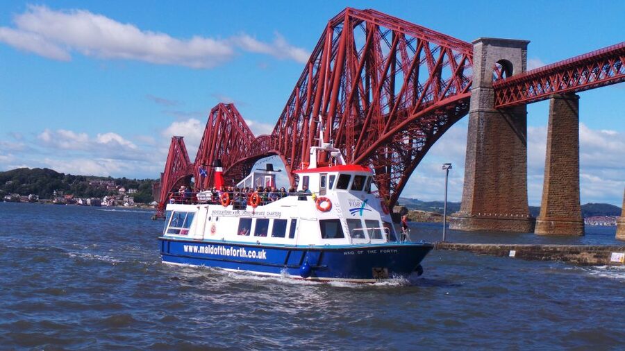 Queensferry: Maid of the Forth 1.5-Hour Sightseeing Cruise - Wildlife spotting in the Firth of Forth, what you can actually expect