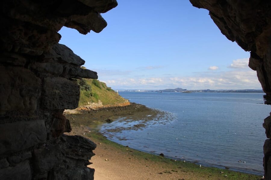 Queensferry: Sightseeing Cruise to Inchcolm Island - Wildlife on Inchcolm: seals at sea and nesting gulls on land