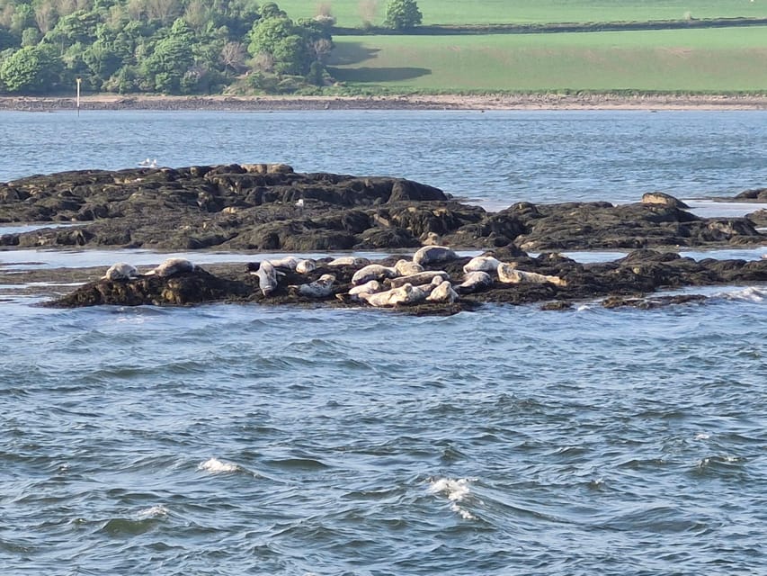 Queensferry: Sightseeing Cruise to Inchcolm Island - The 1.5-hour island visit: how to use your time well