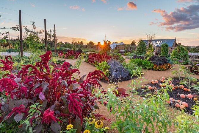 RHS Garden Wisley Entry Ticket - Why RHS Garden Wisley Feels Like a Real Plant Destination