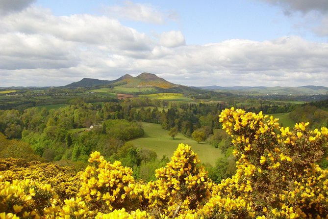 Rosslyn Chapel and Scottish Borders Small-Group Day Tour from Edinburgh - William Wallace Statue and Scott’s View: quick stops with strong payoffs