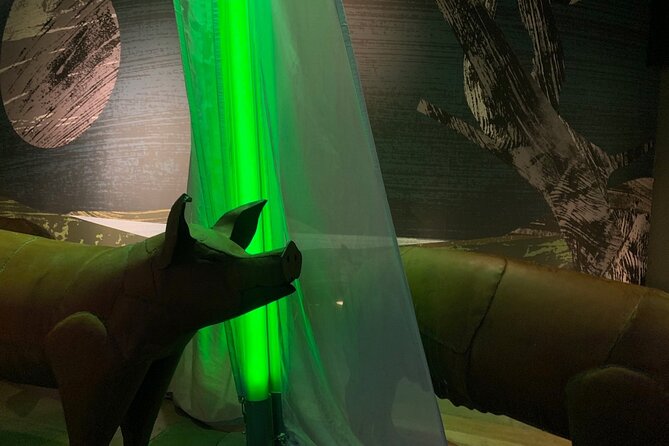 Saint Patrick Centre Exhibition experience - One thing to watch: arrival planning and parking