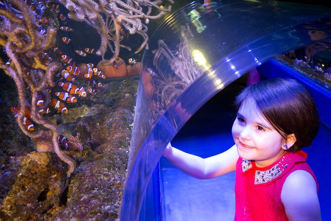 SEA LIFE Birmingham Admission Ticket - National SEA LIFE Centre Birmingham: how this ticket works in real life
