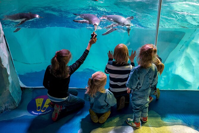 SEA LIFE Birmingham Admission Ticket - What the dated feel means for your expectations