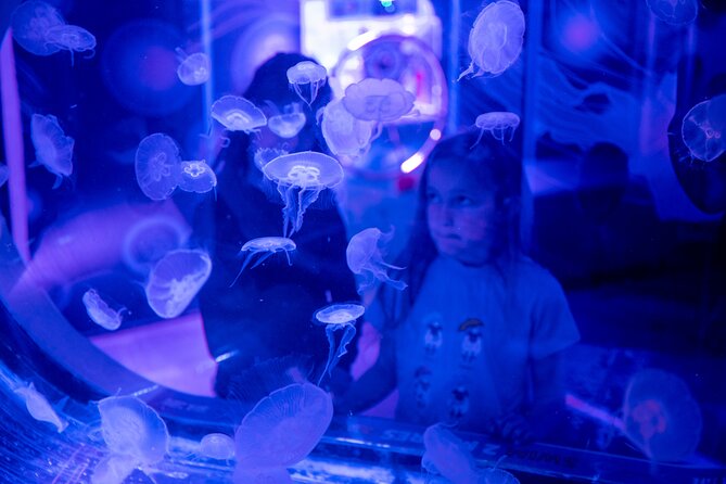 SEA LIFE Birmingham Admission Ticket - Nearby logistics and mobile ticket tips that save time