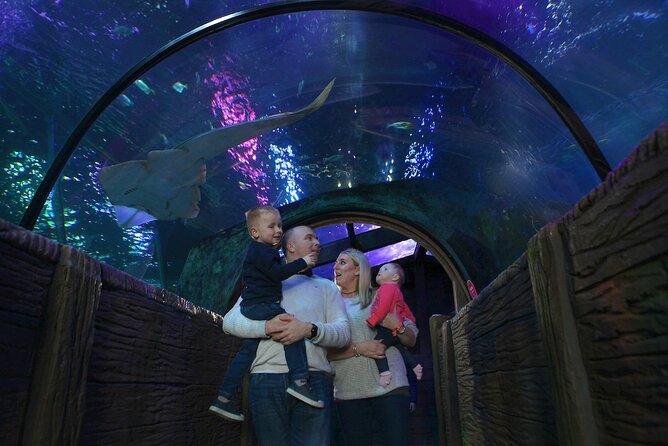 SEA LIFE Blackpool Admission Ticket - Key things I’d plan around