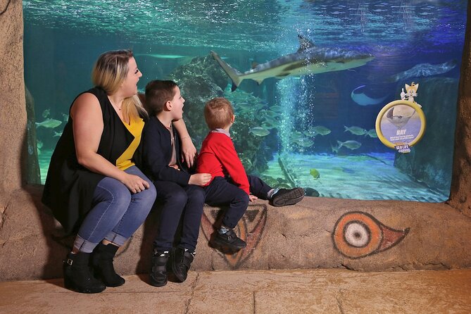 SEA LIFE Blackpool Admission Ticket - The submarine ride feel: jellyfish, eels, and tangs