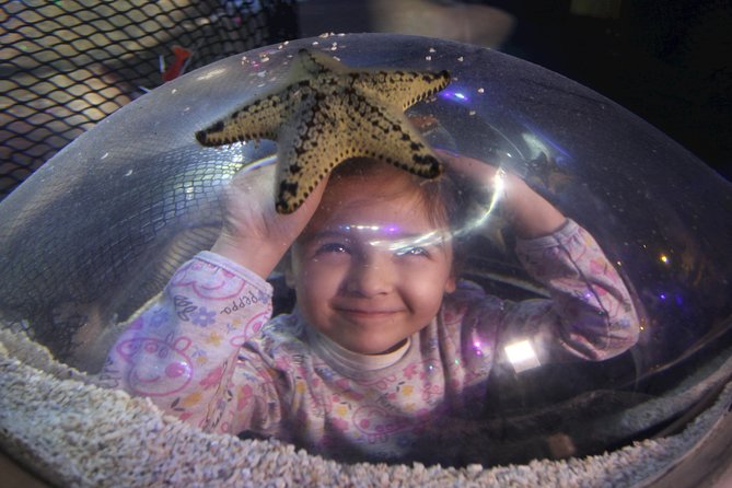 SEA LIFE Blackpool Admission Ticket - Ocean walk-through tunnel and the shark focus