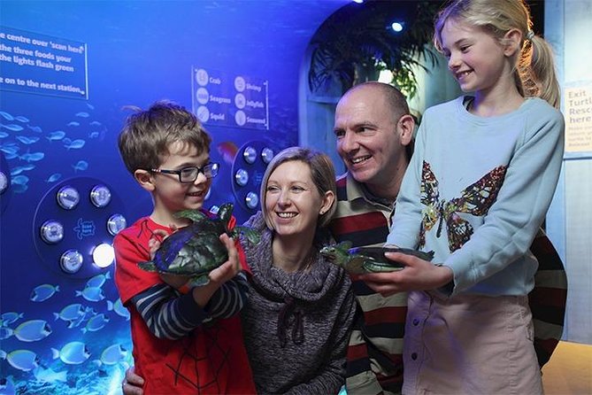 SEA LIFE Blackpool Admission Ticket - Starting at the Rock Pools: touch time and a smart first stop