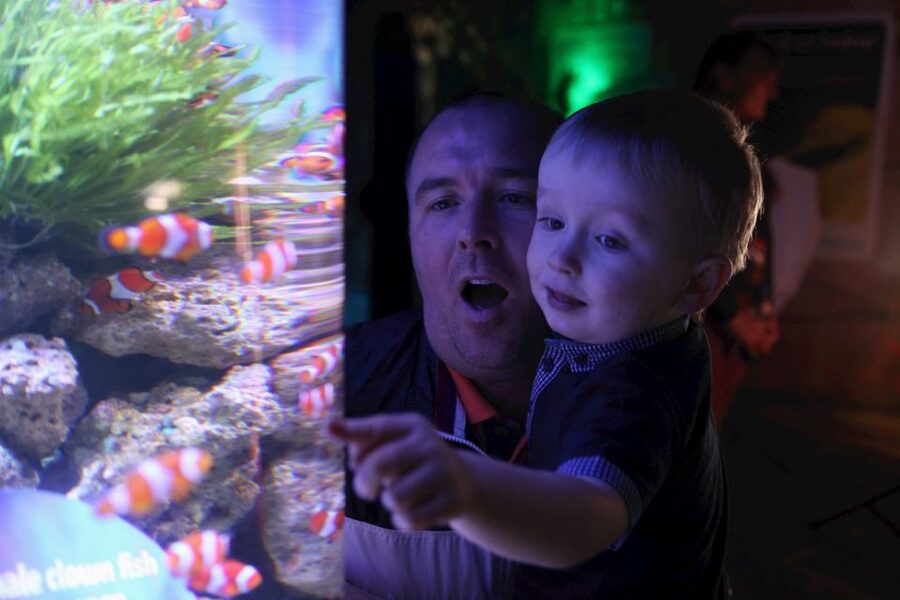 SEA LIFE Blackpool Entrance Ticket - First look: what SEA LIFE Blackpool is really like