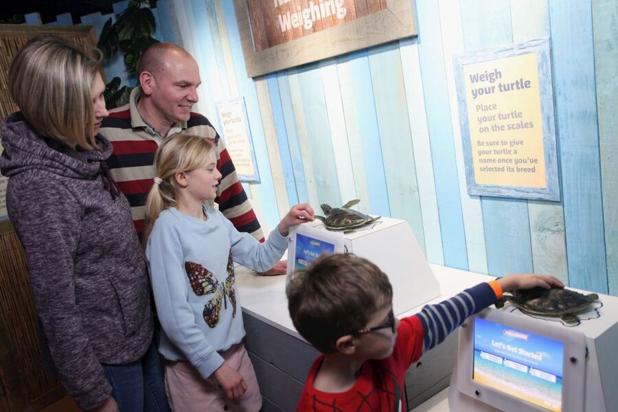 SEA LIFE Blackpool Entrance Ticket - Entering the aquarium and choosing your pace