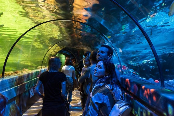 SEA LIFE Brighton Admission Ticket - Secrets of the Reef and the Maldives Reef Story