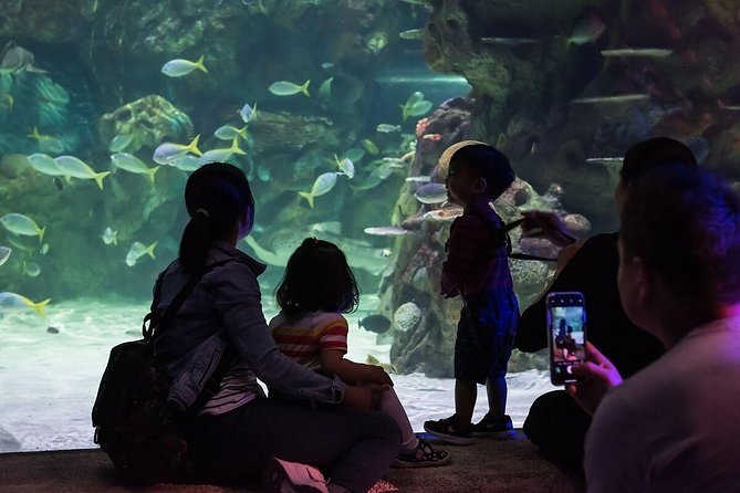 SEA LIFE Brighton Admission Ticket - How Much Time You Really Need for a 2-Hour Visit