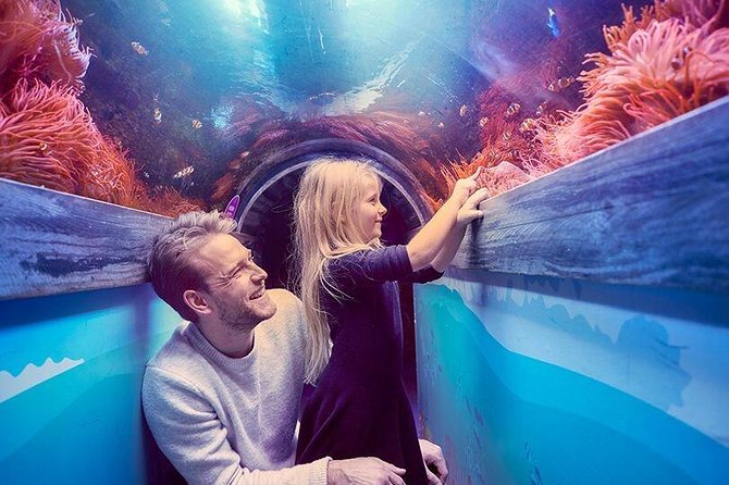 SEA LIFE Brighton Admission Ticket - Booking tips that help the day go smoothly