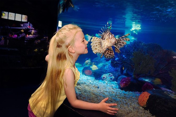 SEA LIFE Great Yarmouth General Admission - General admission at SEA LIFE Great Yarmouth, in plain terms