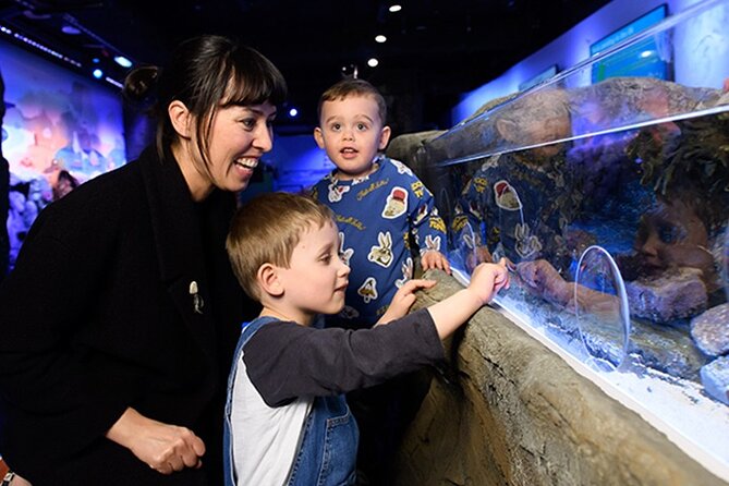 SEA LIFE London Aquarium Admission Ticket - Getting timed entry inside SEA LIFE London Aquarium (and why it matters)