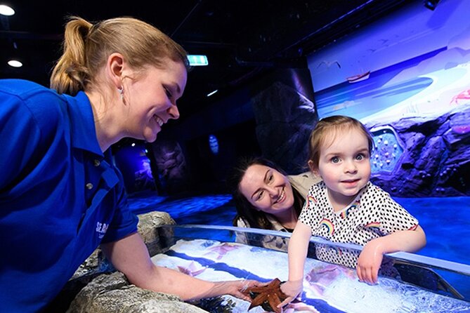 SEA LIFE London Aquarium Admission Ticket - Atlantic Ocean displays: turtles, seahorses, and the “slow down” tanks