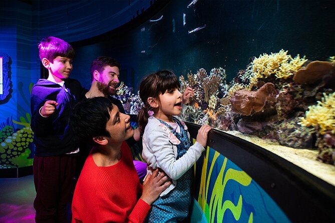 SEA LIFE London Aquarium Admission Ticket - Pacific Zone and the Shark Walk underfoot