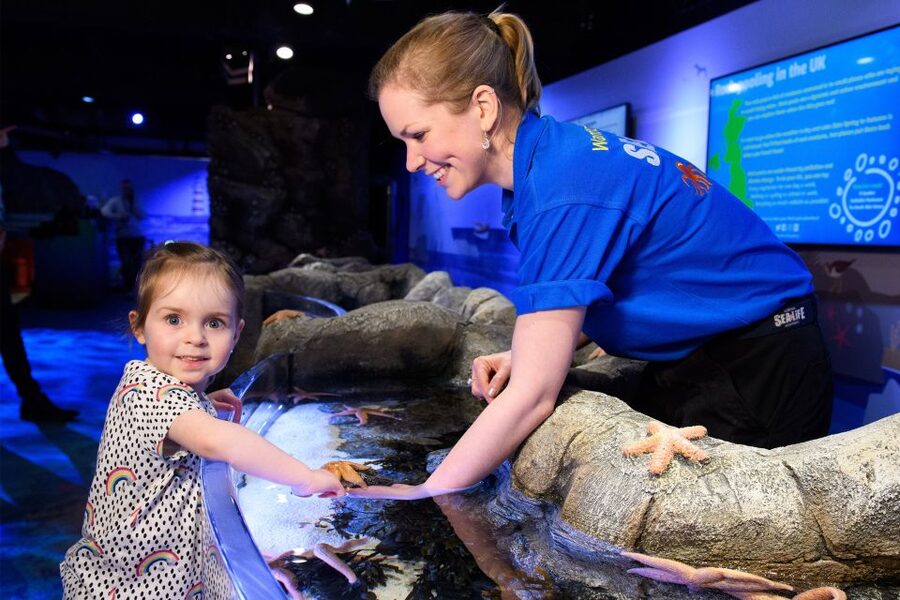SEA LIFE London & DreamWorks Shrek's Adventure: Combo Ticket - Price and value: does $66 make sense for a combo ticket?