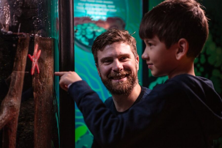 SEA LIFE London & DreamWorks Shrek's Adventure: Combo Ticket - Your 90-day window and how the SEA LIFE time slot works