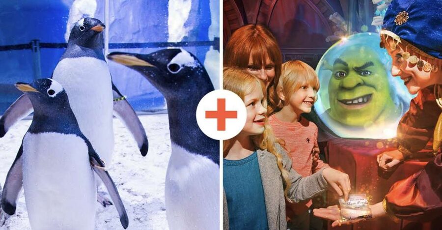 SEA LIFE London & DreamWorks Shrek's Adventure: Combo Ticket - Shark fans get the star treatment