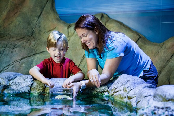 SEA LIFE Manchester Admission Ticket - Moon jellyfish in a color-changing tank: the science is part of the fun