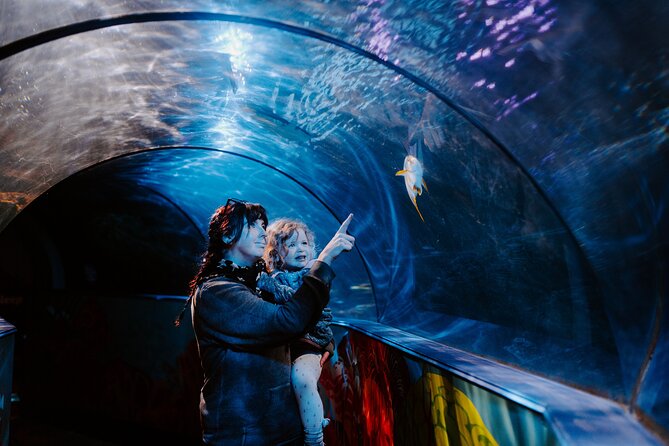 SEA LIFE Weymouth Admission Ticket - Key highlights worth your time