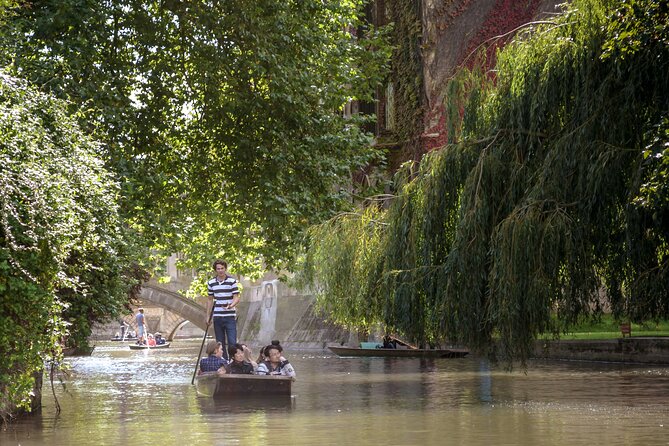 Shared Guided Punting Tour of Cambridge - Price and value: what $22.19 buys you, really