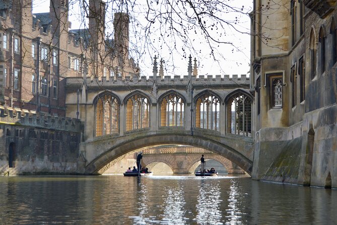 Shared Punt Tour - Cambridge - Why having the guide drive you is the real comfort upgrade