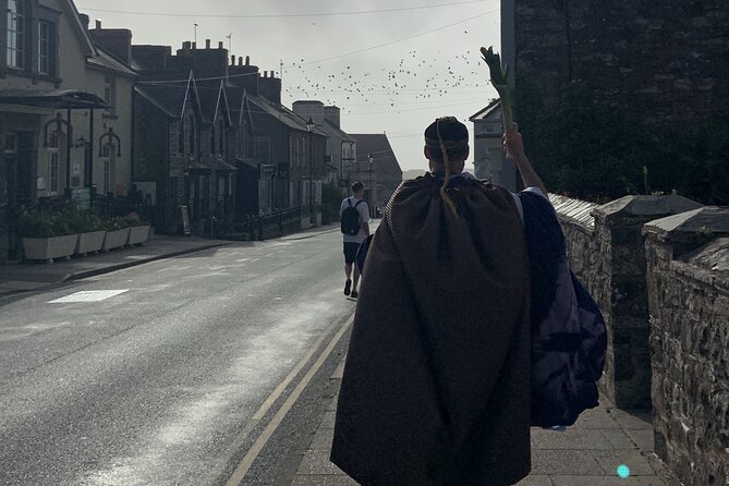 St Davids Comedy Walking Tour - Key highlights to pay attention to