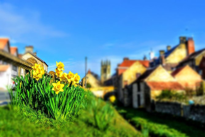 Steam Trains, Whitby, and the North York Moors Full-Day Tour from York - Why the North York Moors feel so different from York