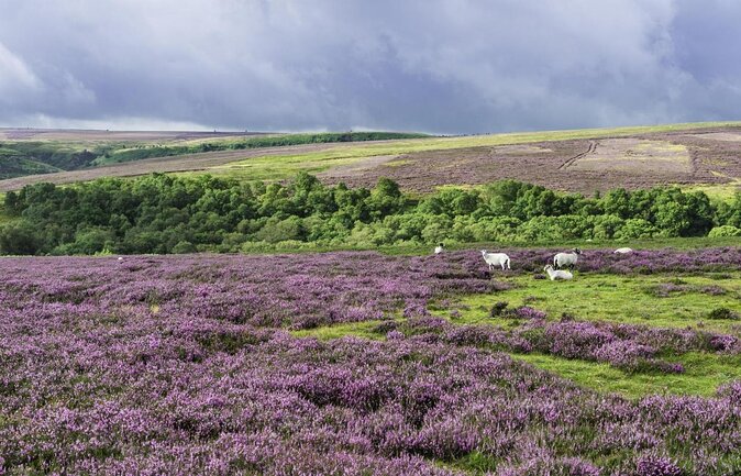 Steam Trains, Whitby, and the North York Moors Full-Day Tour from York - Timing, weather, and what to pack for a 9-hour day