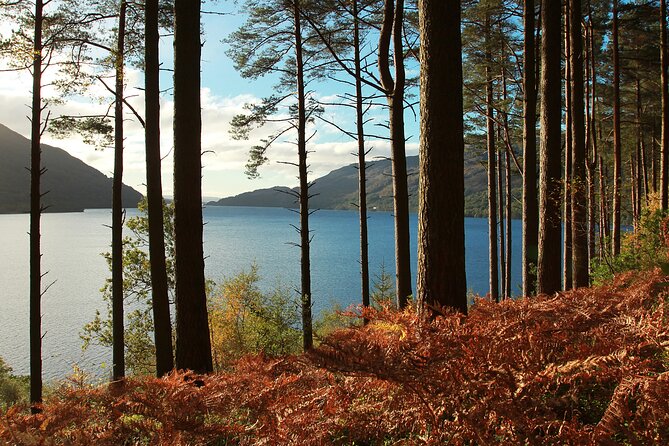 Stirling Castle, Loch Lomond and Cruise Day Tour from Glasgow - Value for Money: What Your Ticket Actually Buys