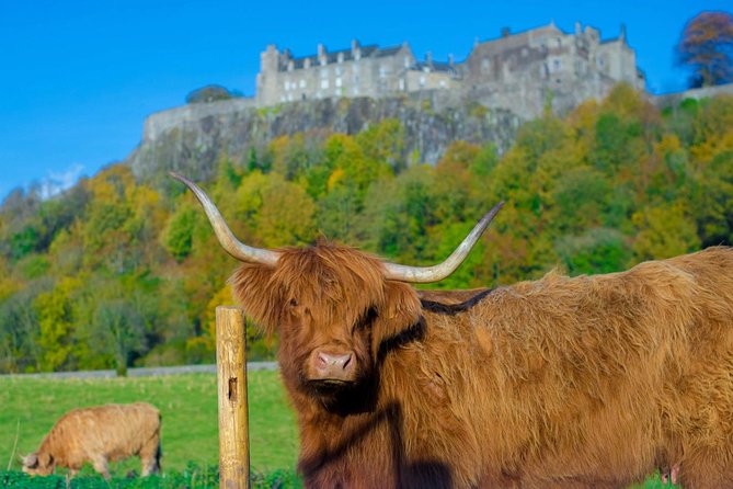 Stirling Castle,Trossachs National and Loch Lomond Day Tour from Edinburgh - The Kelpies and The Helix stop, quick and very photogenic