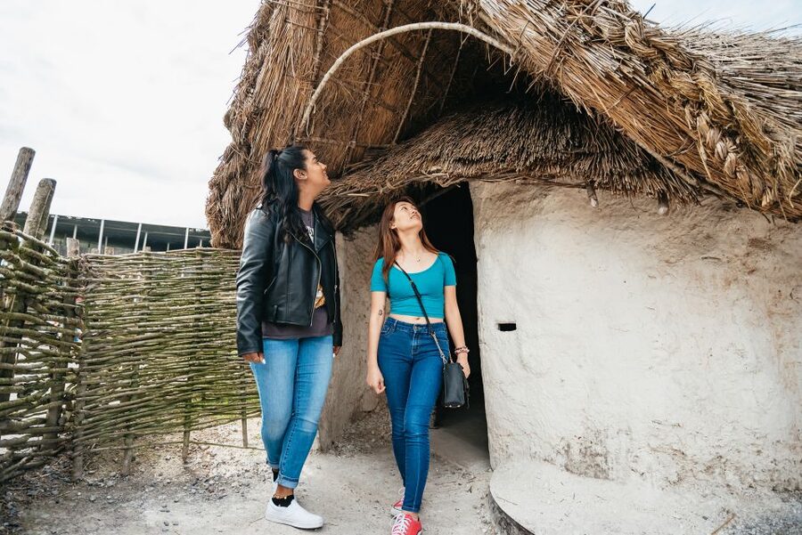 Stonehenge Admission Ticket - At the stone circle: what to do with your limited time