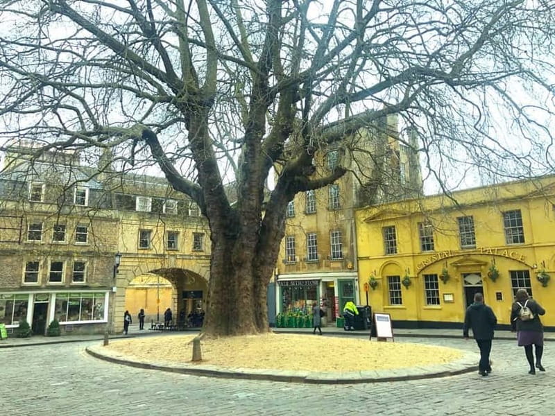 Stonehenge, Bath, Windsor and Roman Baths London Day Tours - FAQ