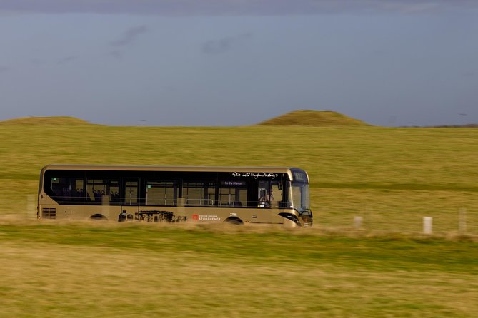 Stonehenge Shuttle Bus from London with Optional Fish & Chips - Timing and Weather Tips for Salisbury Plain