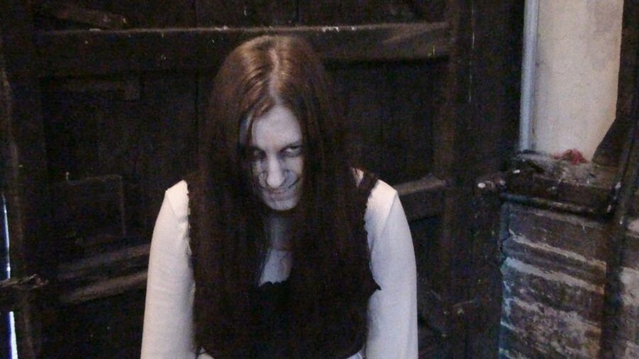 Stratford-upon-Avon: Lantern-Lit Ghost Tour at Tudor World - Guides in Character, From Wilfred to Mary