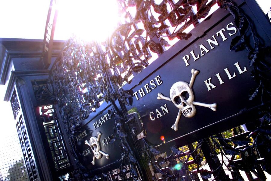 The Alnwick Garden: Entry Ticket - Poison Garden tour: the small extra fee that adds meaning