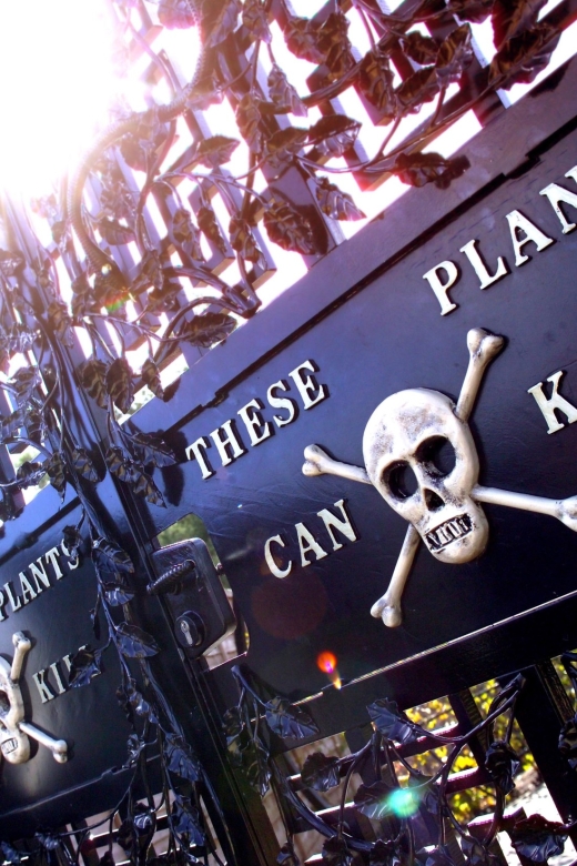 The Alnwick Garden: Entry Ticket - The Grand Cascade water display with 120 jets