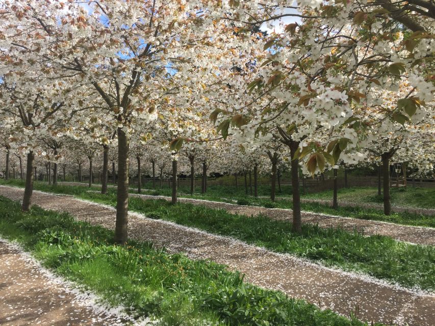The Alnwick Garden: Entry Ticket - Start at the right place: where to find the entrance and orient fast
