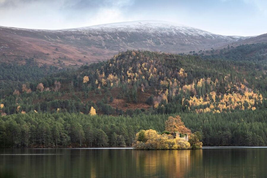 The Cairngorms, Culloden, and Speyside Whisky Tour - A full 10-hour loop: what this day trip really delivers