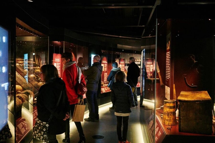 The Mary Rose: Day Admission Ticket - How the Mary Rose Museum brings 1545 to your feet