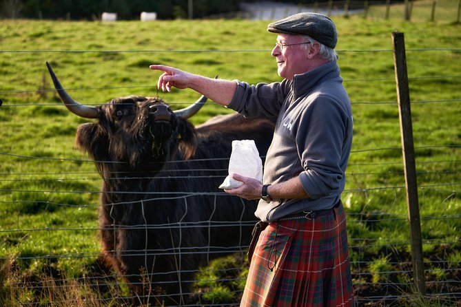 The Ultimate Isle of Skye Day Tour from Inverness - Portree in 45 minutes: harbor views, snacks, and real breathing room