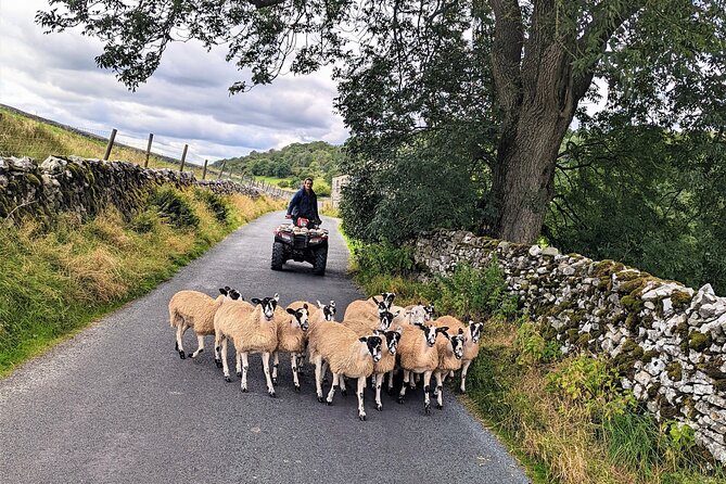 The Yorkshire Dales of All Creatures Great & Small - Yorkshire Dales National Park: back roads, farm tracks, and nonstop photo chances