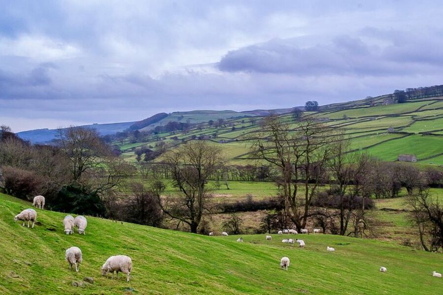 The Yorkshire Dales Tour from York - A full Dales day, timed from York