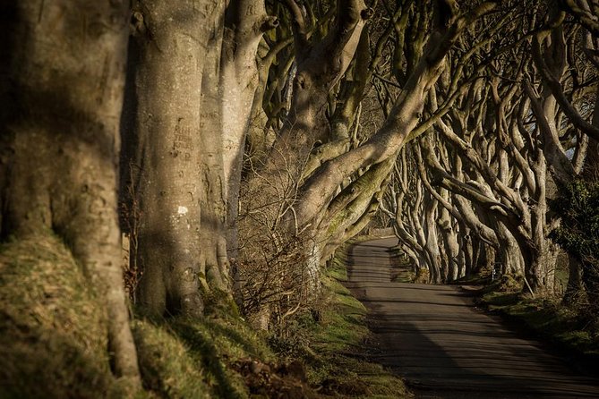 Titanic Experience and Giant's Causeway tour from Belfast - Titanic Belfast: 90 Minutes That Can Feel Heavy