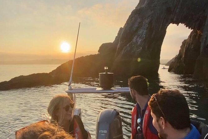 Torquay Coastal RIB Seafari - Wildlife chances: seals, dolphins, and the birds that keep the spotlight