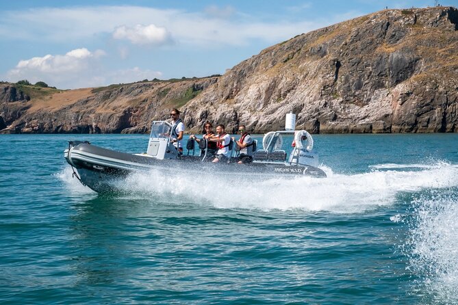 Torquay Coastal RIB Seafari - Price and value: what $51.30 buys you in Torquay