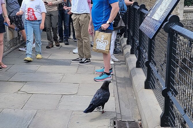 Tower of London: Guided Tour with Thames River Cruise - Meeting point, where the tour starts, and how it ends